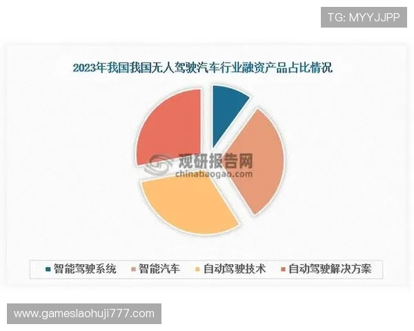 多宝电子行业分析：2024年行业发展现状与未来趋势全面解读