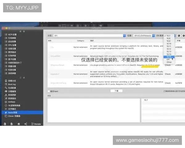 汇彩控股角子机操作指南详解新手快速上手技巧 汇彩控股角子机操作指南详解新手快速上手技巧